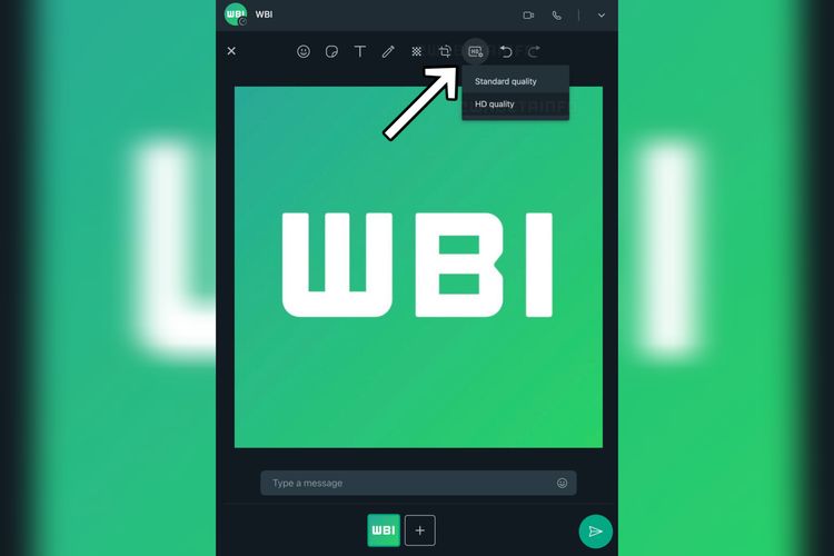 Ilustrasi gambar WA yang bisa diunggah dengan kualitas tinggi (HD) alias tanpa dikompres.
