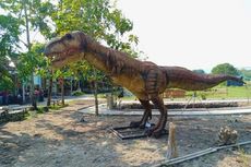 Taman Dinosaurus Potorono, Wisata Keluarga Baru di Bantul Yogyakarta