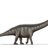 Saat Supersaurus Dinobatkan sebagai Dinosaurus Terpanjang di Dunia...