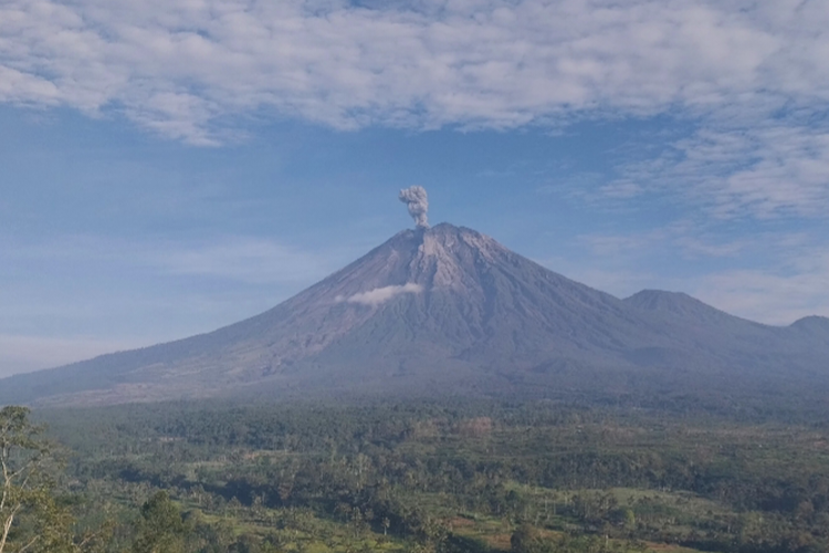 Minggu Pagi, Semeru Meletus dan Keluarkan Kolom Abu Setinggi 1.200 Meter