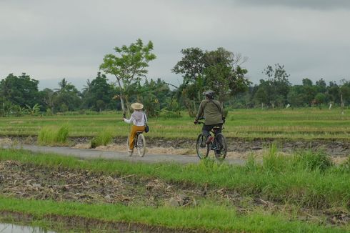 Mengunjungi Desa Bilebante, Wisata Hijau di Lombok Tengah