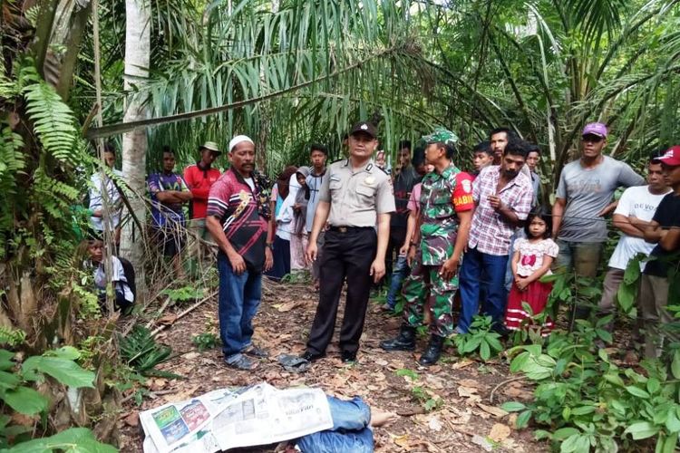 Mayat yang ditemukan warga di kebun sawit Desa Seuneubok Baro, Kecamatan Ranto Peureulak, Kabupaten Aceh Timur, Senin (10/6/2019)