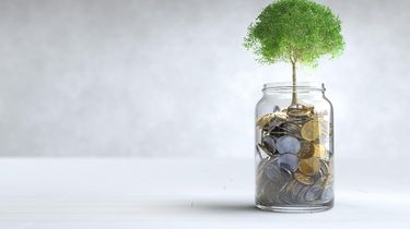 Tips Investasi Reksadana Bagi Pemula dari BRI, Simak Langkahnya