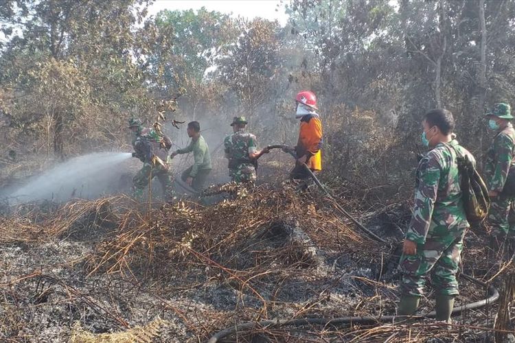 Petugas TNI dan BPBD Pekanbaru memadamkan api karhutla di Kelurahan Air Hitam, Kecamatan Payung Sekaki, Pekanbaru, Riau, Jumat (19/7/2019).