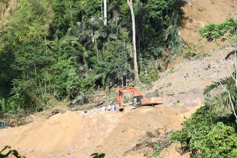 Longsor di Area PLTA Batang Toru, PT NSHE: Awalnya Banjir Lumpur