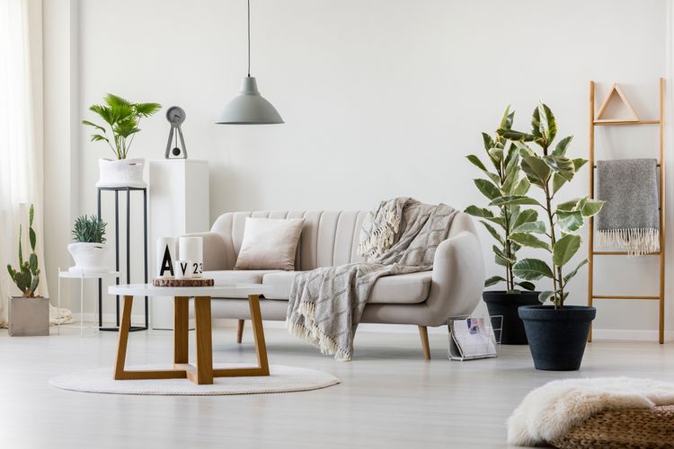 Ilustrasi ruang keluarga bergaya Skandinavia dengan sejumlah tanaman hias.