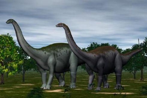 5 Perbedaan Brontosaurus dan Brachiosaurus 