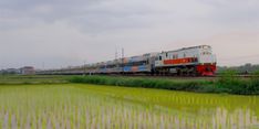 KAI Operasikan 39 Trainset Stainless Steel New Generation di Berbagai Relasi Kereta Api