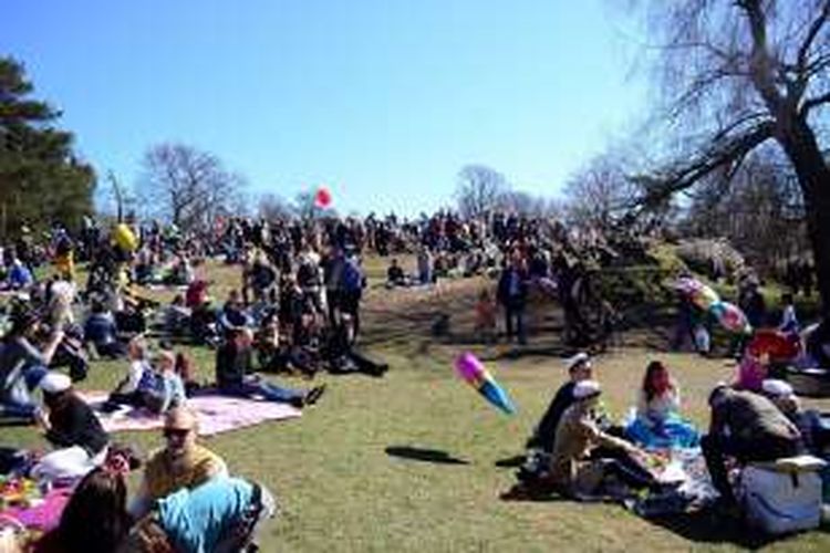 Warga Helsinki sedang piknik bersama di taman Kaivopuisto, Helsinki, Finlandia, Minggu (1/5/2016). Mereka melakukan piknik sebagai rangkaian acara dari perayaan Vappu, atau May Day di Finlandia.