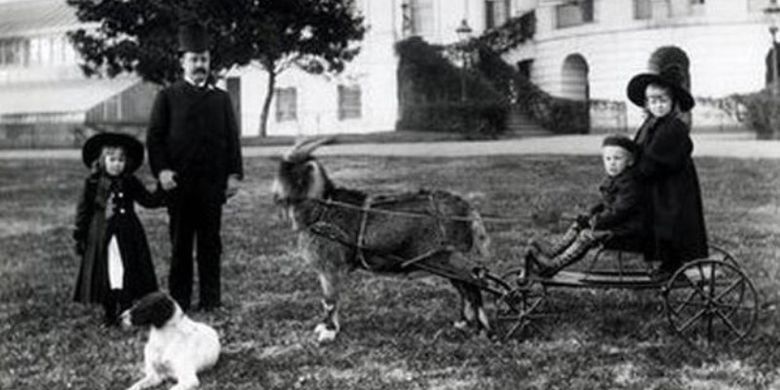 Foto yang diambil pada 1891 ini menunjukkan Presiden ke-23 AS Benjamin Harrison bersama kambing peliharaan bernama dan cucu-cucunya. (CBS News)