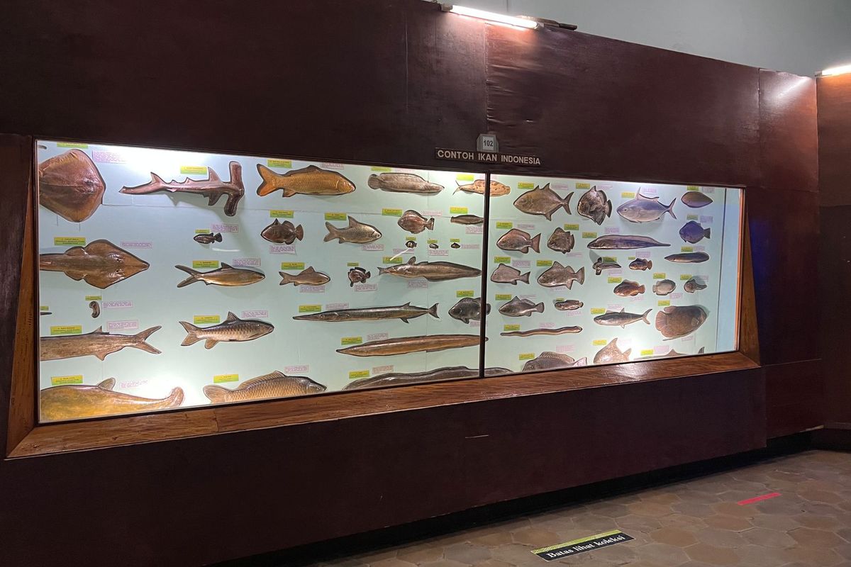 Bagaimana Masa Depan Zoologi di Indonesia?