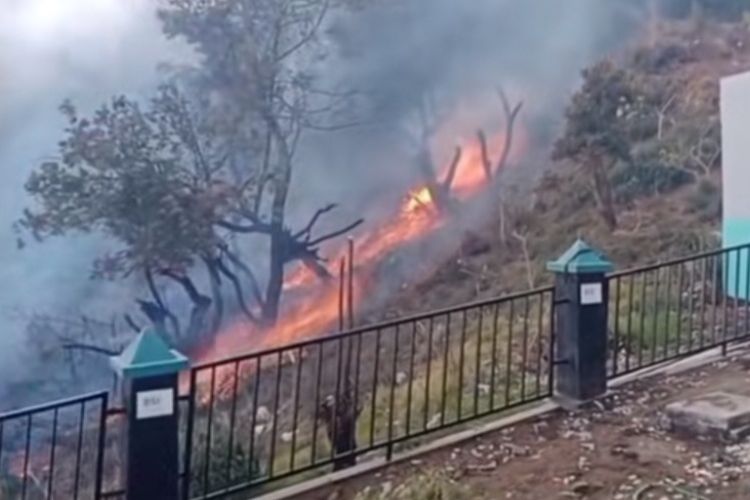 Kebakaran Gunung Bromo Meluas Menjalar ke Seruni Point di Probolinggo