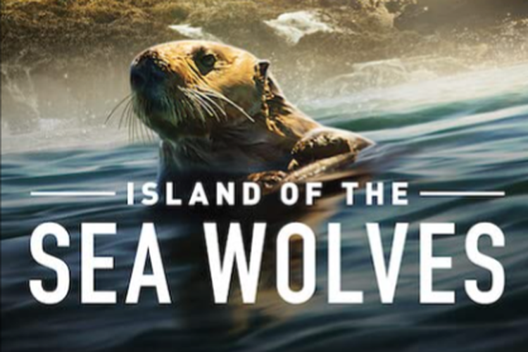 Island of The Sea Wolves merupakan film dokumenter yang dapat disaksikan di netflix