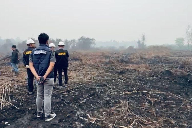 Kasus Dugaan Pembakaran Lahan Oknum Anggota DPRD Mempawah Naik Penyidikan, Polisi Temukan Korek Gas