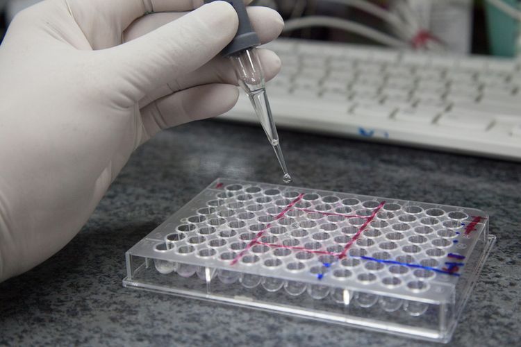 An illustration of rapid test samples for the coronavirus