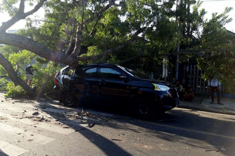 Mobil Toyota Avanza milik Sanjaya tertimpa pohon tumbang di traffic light di jalan raya Kademangan, Kabupaten Blitar, Sabtu sore (12/6/2021)