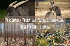 Persebaran Flora dan Fauna di Indonesia