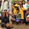 Nekat Gelar Sabung Ayam Saat Wabah Corona, 33 Orang Ditangkap dan Dihukum Teriak 