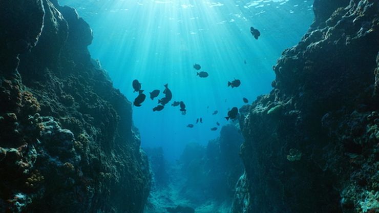 Misteri Lautan: Mengapa Kita Masih Belum Tahu Semuanya