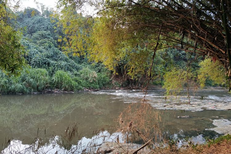 DLH Pastikan Kali Bekasi Tercemar, Asalnya dari Kabupaten Bogor