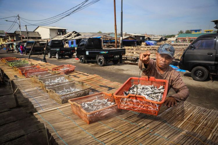 Pekerja menjemur ikan asin di Kawasan Muara Angke, Jakarta Utara, Rabu (10/1/2018). Kementerian Kelautan dan Perikanan menaikan target perikanan tangkap tahun 2018 sebesar 9,45 juta ton dari target tahun sebelumnya yang hanya sebesar 7,8 juta ton.