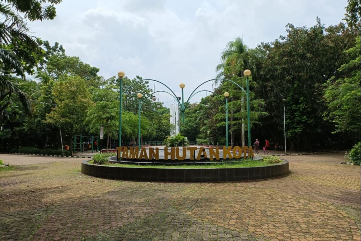 Taman Hutan Kota Bekasi Yang Sepi Oleh Pengunjung