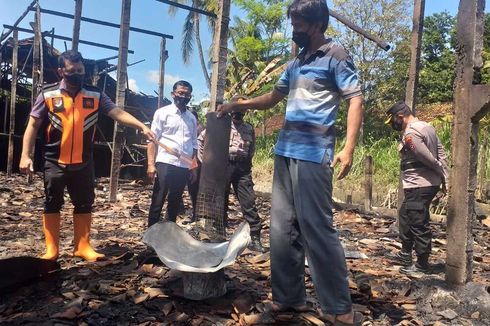 Peternakan Terbakar di Kulon Progo, 12.000 Ekor Ayam Mati, Kerugian Rp 500 Juta Lebih