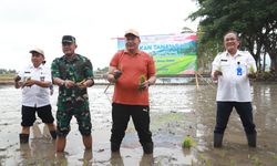 Dukung Ketahanan Pangan dan Makan Siang Bergizi, Pemkab Malang Gulirkan Gerakan Tanam Padi