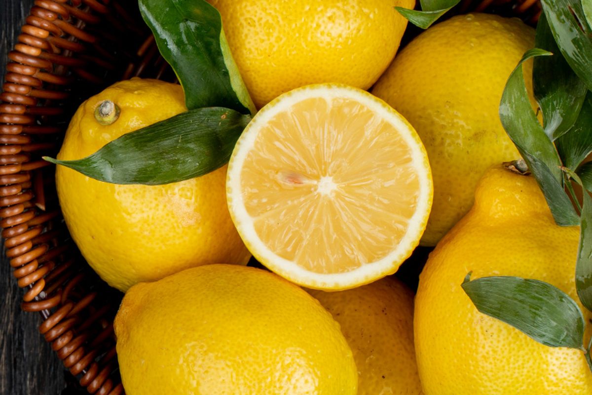 Ilustrasi buah lemon. 