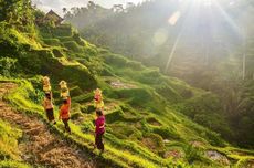 Bali Bukan Satu-satunya Surga Wisata Indonesia, Jelajahi Juga 5 Surga Destinasi Super Prioritas Ini
