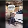 Video Viral Modus Rem Mobil Berasap di Puncak, Kenali Penyebabnya