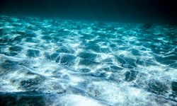 Mikroba Laut Dalam Jadi Sekutu Hadapi Perubahan Iklim