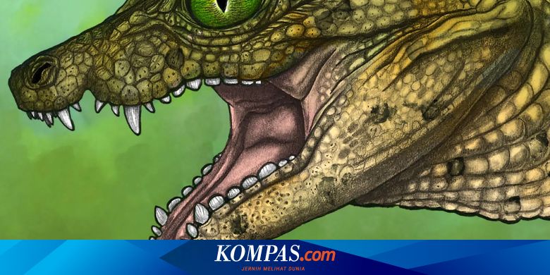 Ancient Crocodile Fossils Reveal New Montana Species