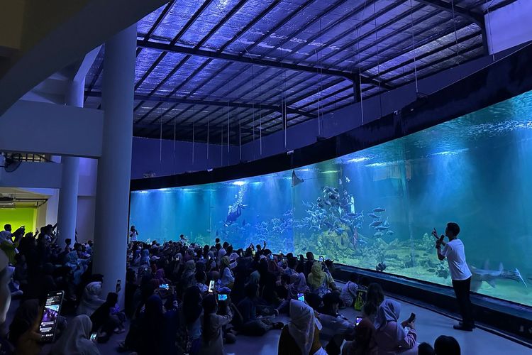 Aquarium Indonesia Pangandaran