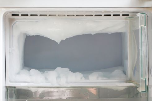 Cara Aman Mencairkan Bunga Es di Freezer Secara Manual