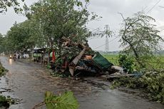 Pohon Tumbang di Malang Timpa Rumah dan Picu Banjir
