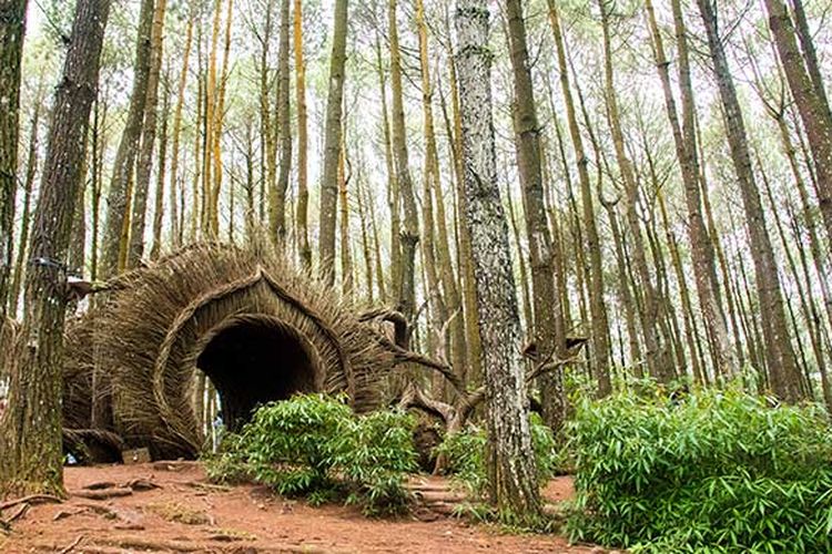 Salah satu ornamen untuk spot foto di Hutan Pinus Pengger, Yogyakarta.