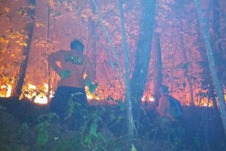 Petugas BPBD Kabupaten Garut melakukan penanganan kebakaran hutan di Gunung Karacak pada Kamis (24/10/2019) malam. (foto Dok BPBD Garut)