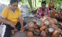 Briket Kelapa Dorong Perubahan: Dapur Bersih, Beban Perempuan Ringan