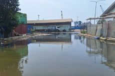 Warga Keluhkan Banjir Rob di Pelabuhan Sunda Kelapa Bau dan Takut Bikin Penyakit