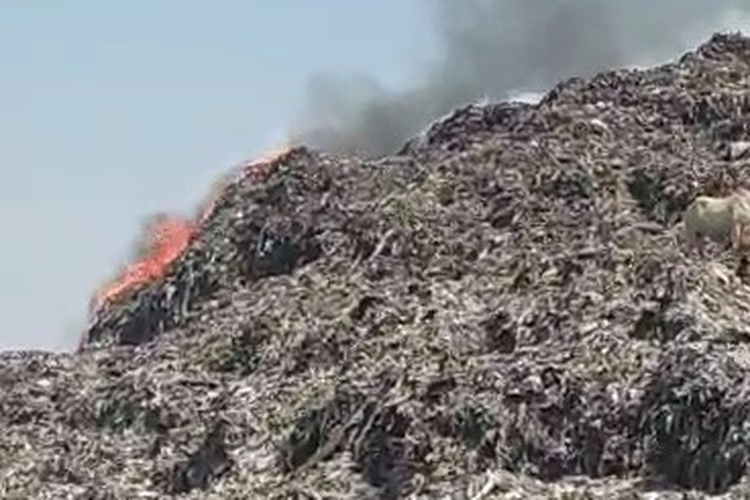Api membakar tumpukan sampah Tempat Pembuangan Akhir (TPA) Putri Cempo di Solo, Jawa Tengah pada Sabtu (16/9/2023).