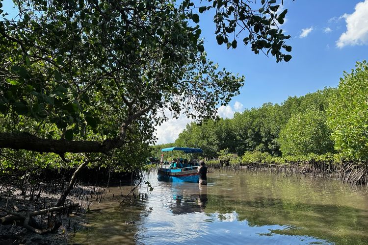 Kawasan mangrove di Taman Hutan Raya (Tahura) Ngurah Rai, Pamogan, Denpasar Selatan, Bali pada Kamis (19/9/2024) siang.