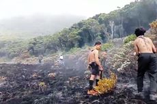 Penyebab Kebakaran Alun-alun Surya Kencana Gunung Gede Diduga Faktor Alam