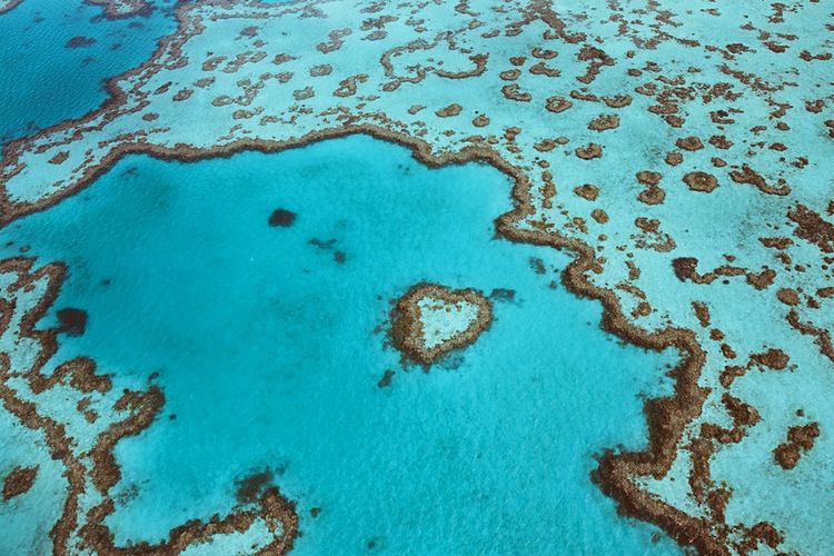 Susunan batu karang bernama Heart Reef di Great Barrier Reef, Australia.