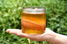 Cara Simpan Scoby Kombucha yang Benar, Jangan Taruh di Dalam Kulkas