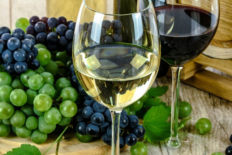 Ilustrasi wine, minuman wine. 