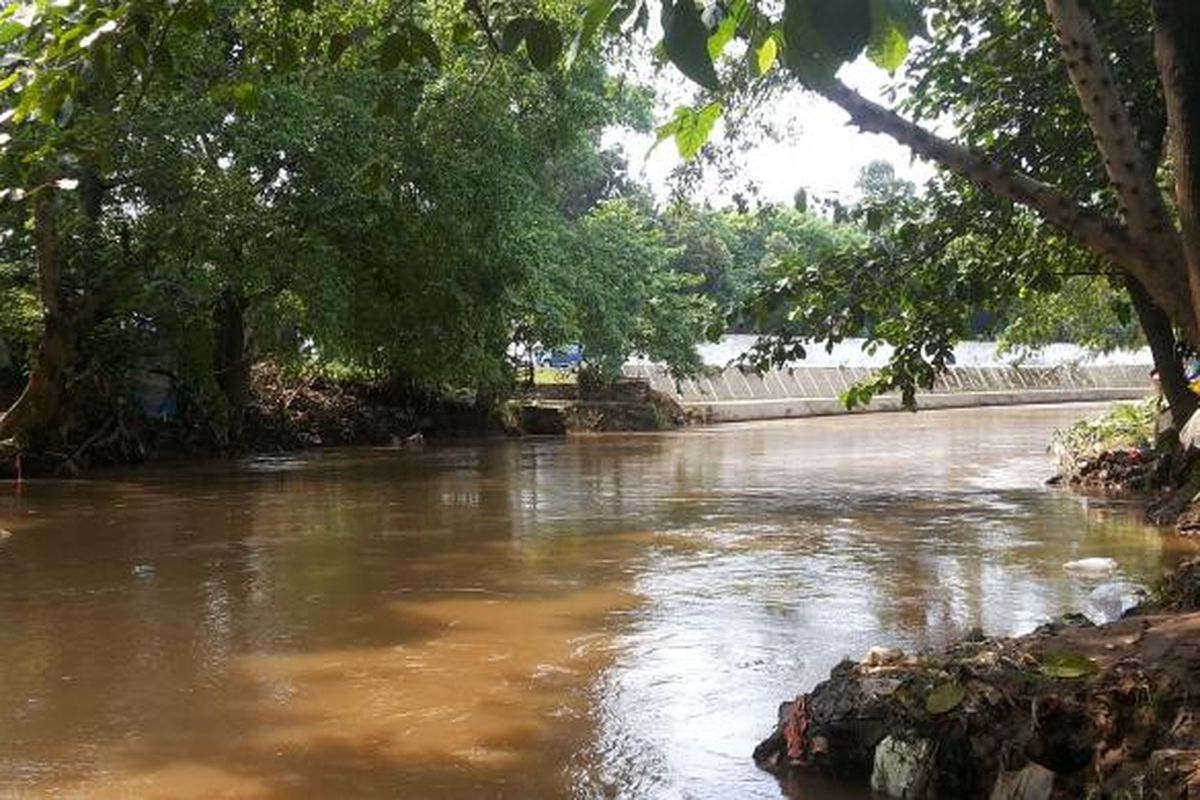 Kondisi aliran Sungai Ciliwung yang mengalir di kawasan Kelurahan Cawang, Kramat Jati, Jakarta Timur, Rabu (22/2/2017). Tampak aliran sungai belum dinormalisasi. Terlihat dengan belum adanya dinding turap beton di sisi kiri dan kanan sungai.
