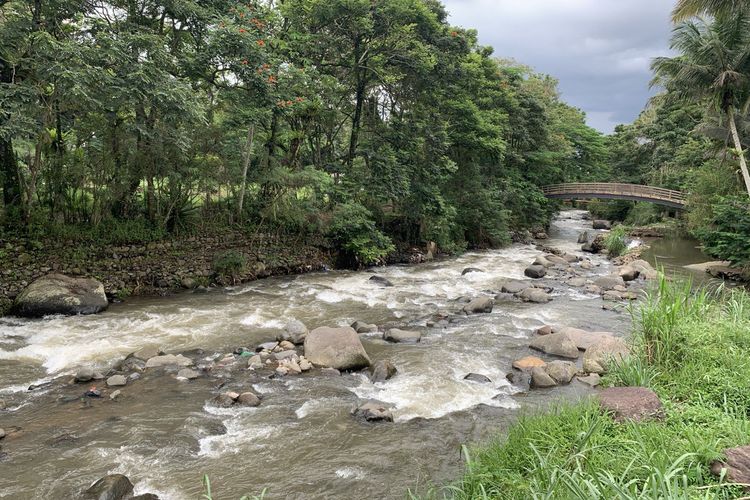 Tepi sungai Enchanting Valley by Taman Safari dekat restoran Amarta. Bisa duduk sembari menikmati makanan resto di saung terbatas yang berada persis di pinggir sungai.