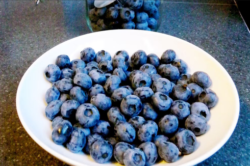 Para Ahli Akhirnya Temukan Penyebab Blueberry Berwarna Biru