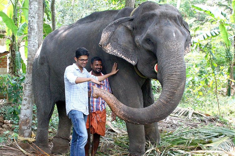 Dalam foto yang diambil pada 18 April 2016, seekor gajah bernama Dakshayani mendapat gelar sebagai Nenek Gajah. Dakshayani meninggal dalam usia 88 tahun pada Selasa (5/2/2019).